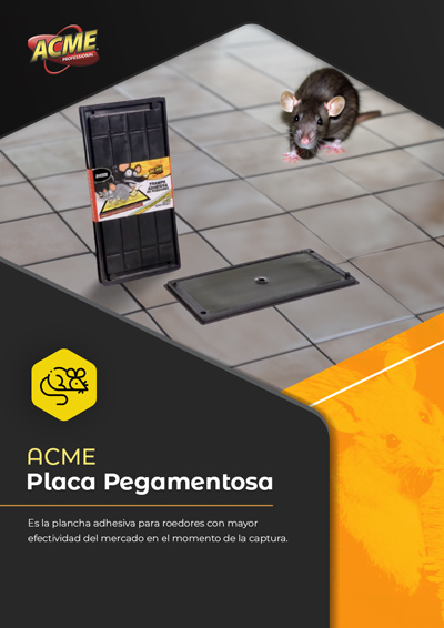 tapa folleto